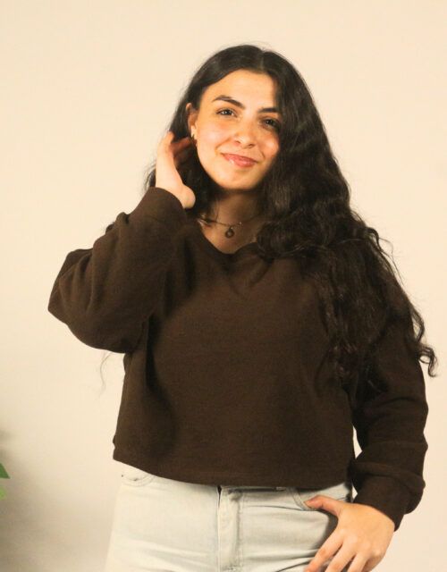 Brown V-Neck Cropped Sweatshirt