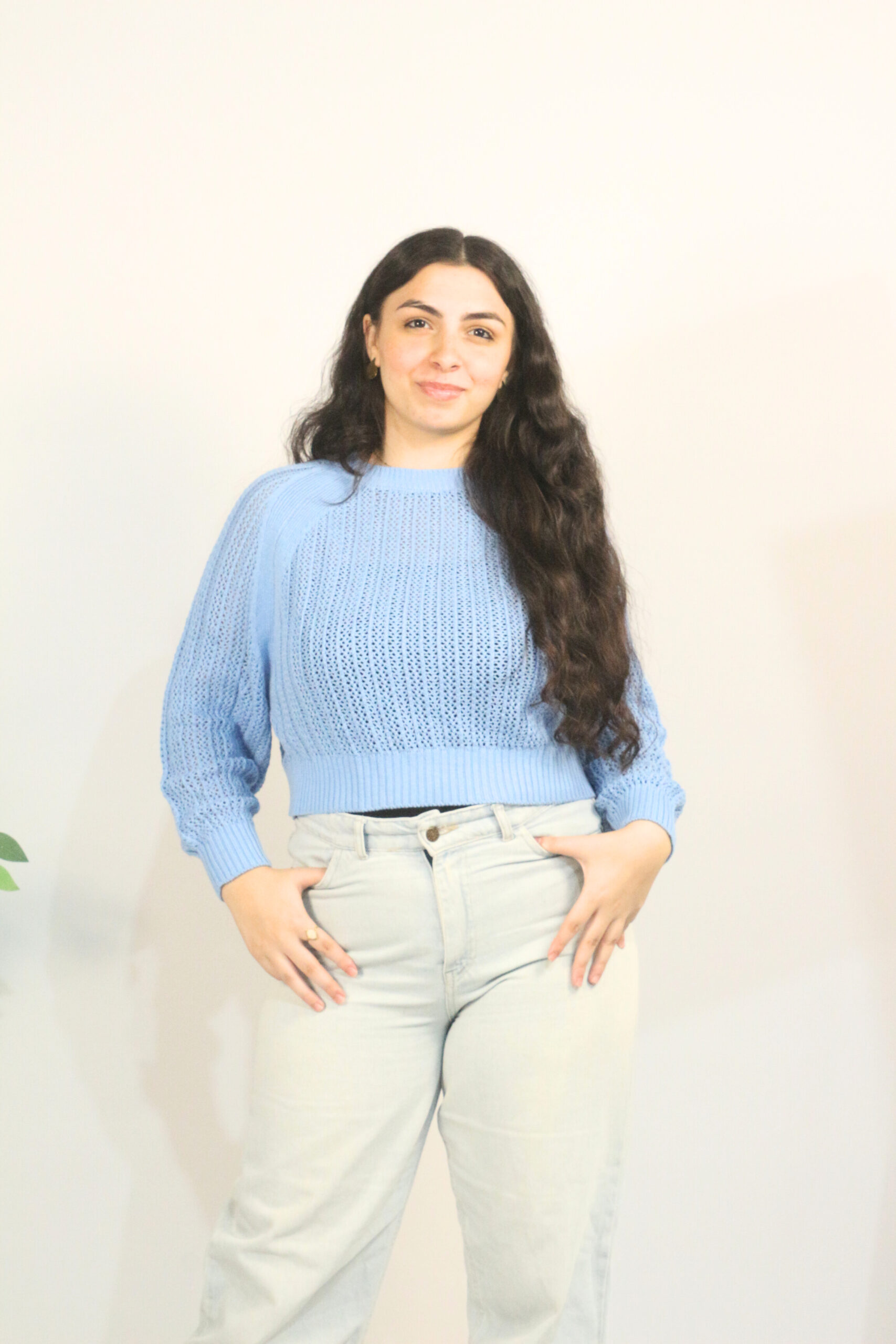 Light Blue Open Knit Cropped Sweater